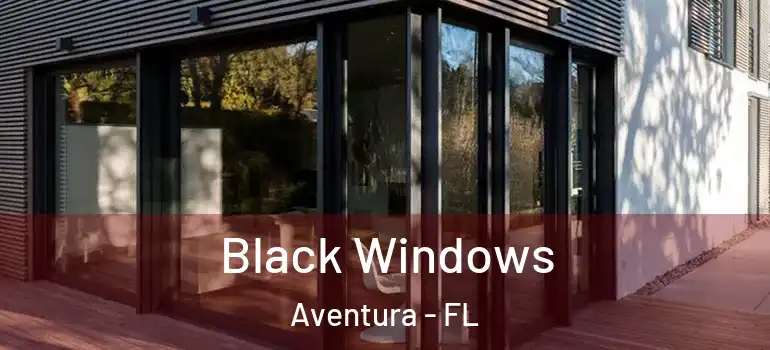  Black Windows Aventura - FL