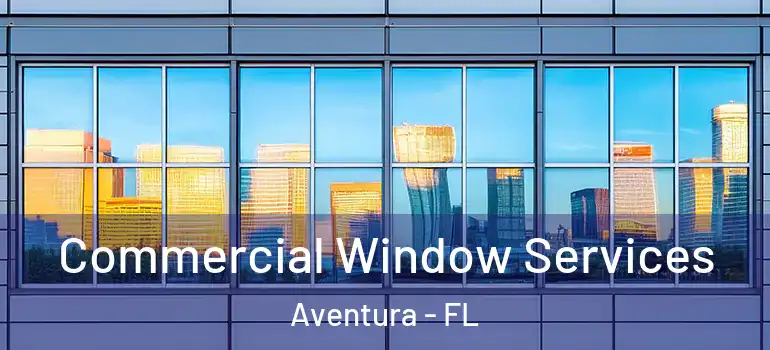  Commercial Window Services Aventura - FL