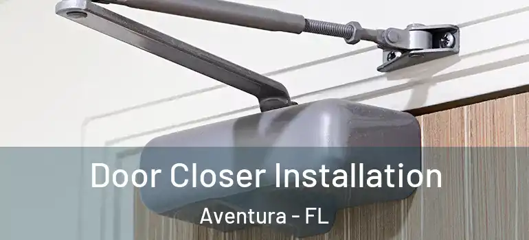 Door Closer Installation Aventura - FL