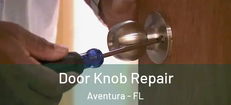  Door Knob Repair Aventura - FL