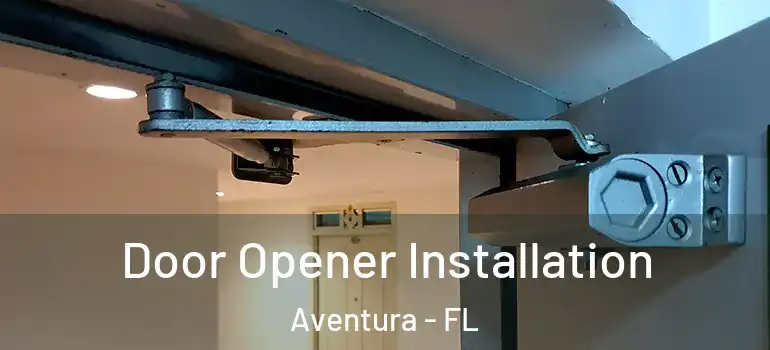  Door Opener Installation Aventura - FL