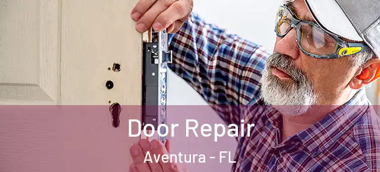  Door Repair Aventura - FL