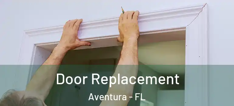  Door Replacement Aventura - FL