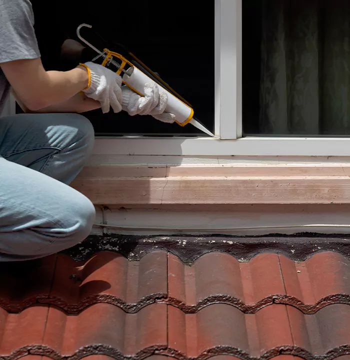 Roof Window Services in Aventura, Florida