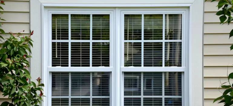Custom Double Hung Windows in Aventura, FL