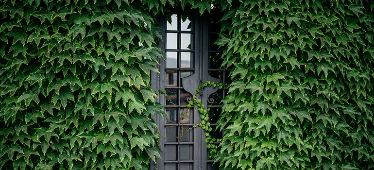 Garden Gate Repair in Aventura, FL