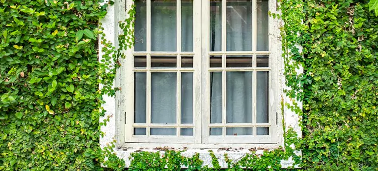Garden Window Repair Near Me in Aventura, FL