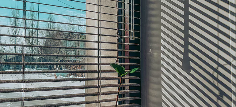 Commercial Window Blinds in Aventura, FL