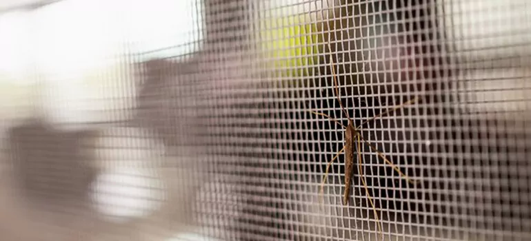 Repair Mosquito Mesh For Windows in Aventura, FL