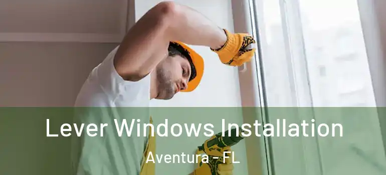  Lever Windows Installation Aventura - FL