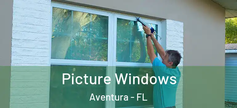  Picture Windows Aventura - FL