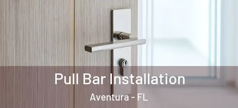  Pull Bar Installation Aventura - FL