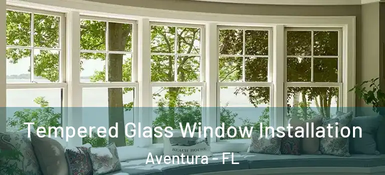  Tempered Glass Window Installation Aventura - FL