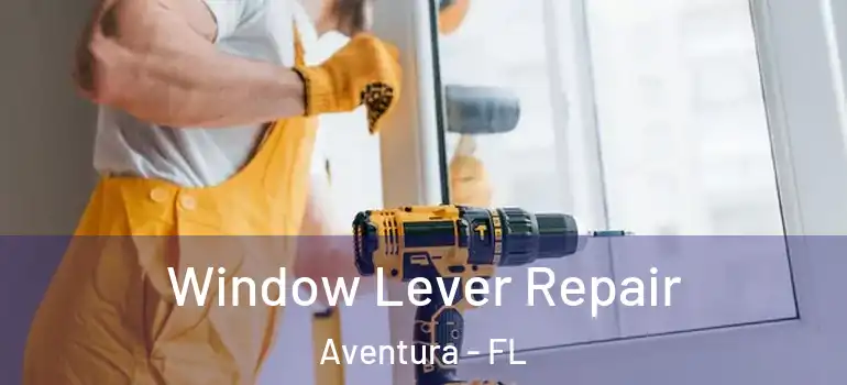  Window Lever Repair Aventura - FL