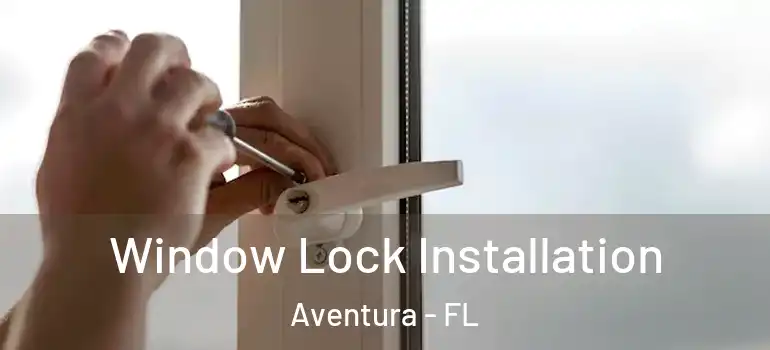  Window Lock Installation Aventura - FL