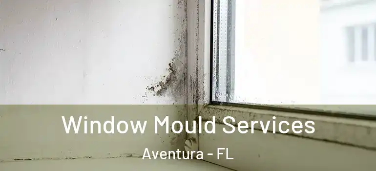  Window Mould Services Aventura - FL